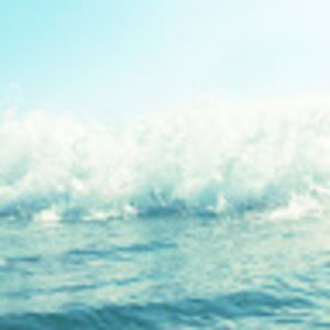 Meet your Posher, Noah